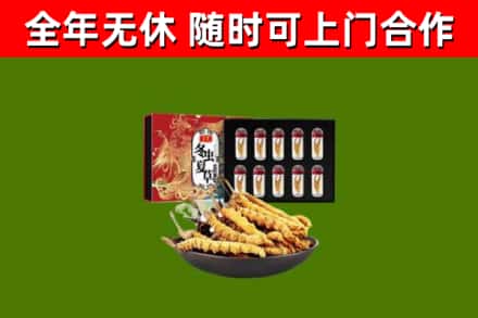 柘荣回收冬虫夏草价格